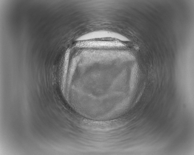 X0000051880030200507222001