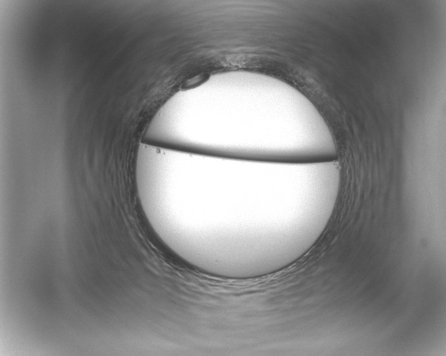 X0000051880031200507222001