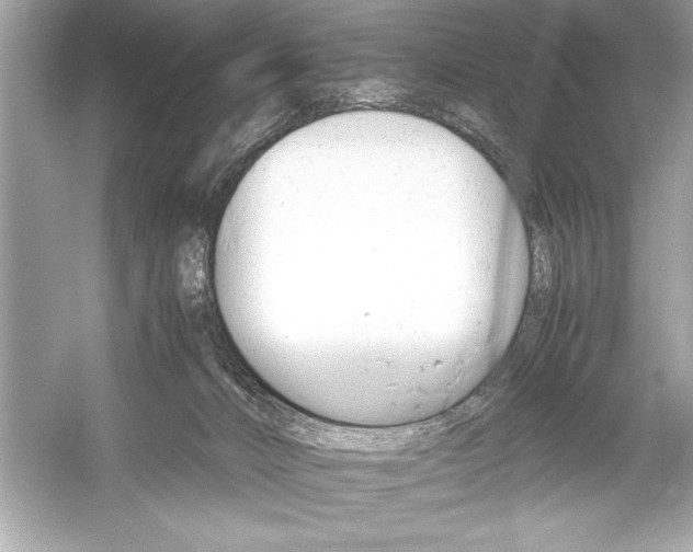 X0000051880032200507222001