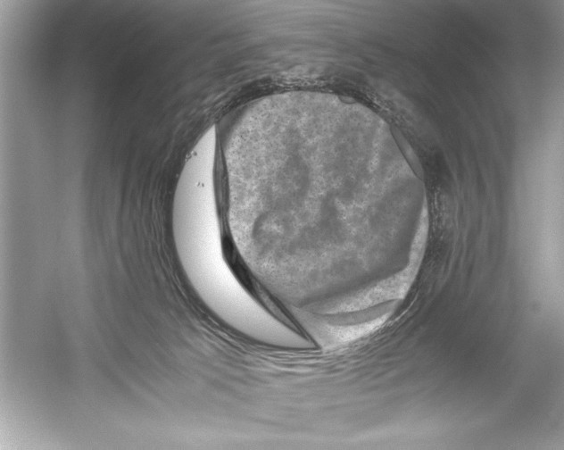 X0000051880033200507222001