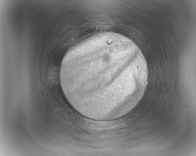 X0000051880034200507222001