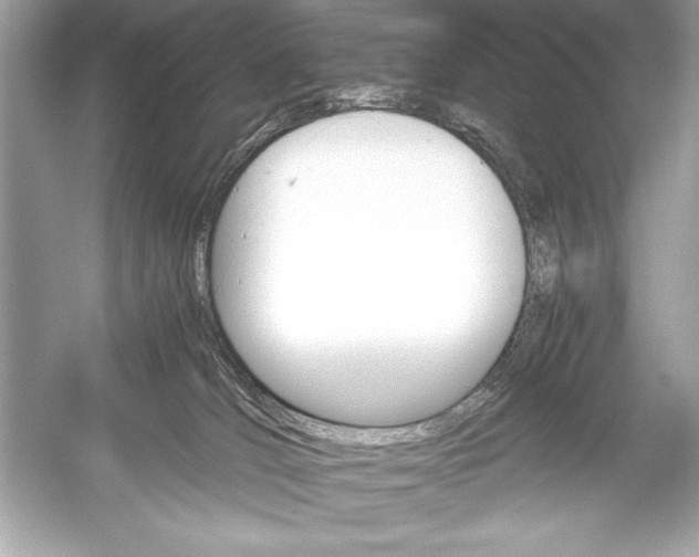 X0000051880036200507222001