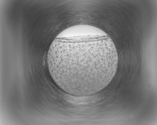 X0000051880038200507222001