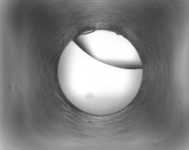 X0000051880039200507222001