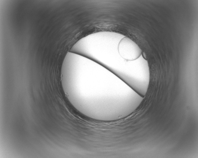 X0000051880040200507222001