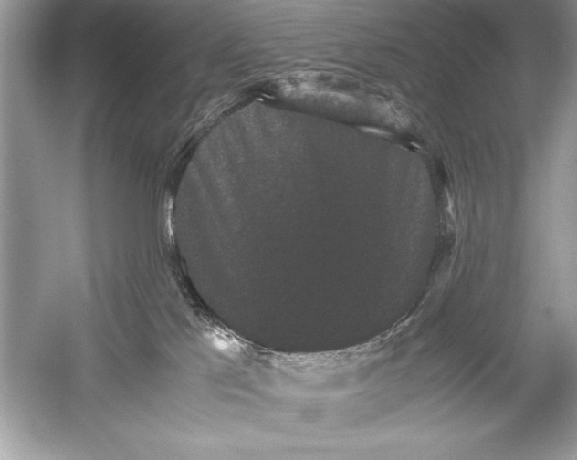 X0000051880041200507222001