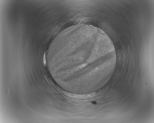 X0000051880042200507222001