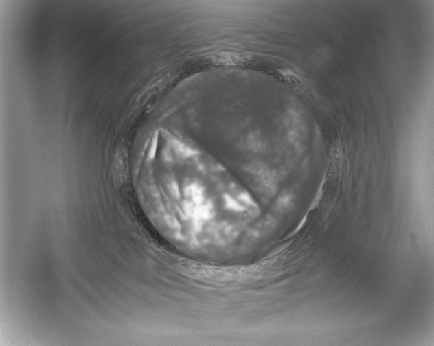 X0000051880043200507222001