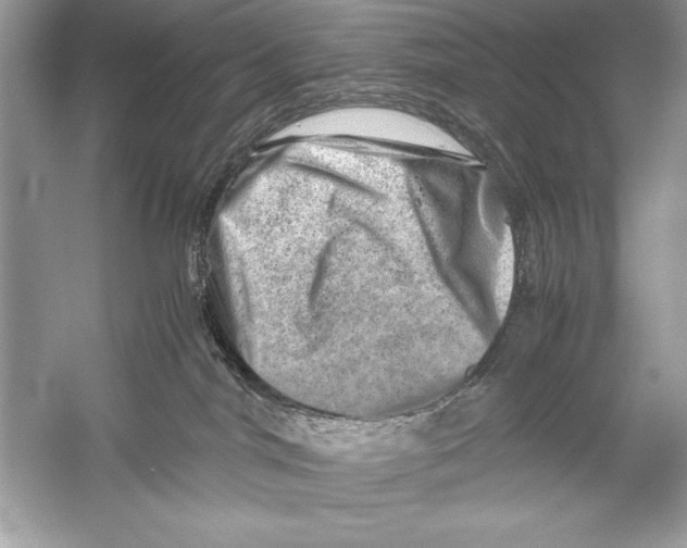 X0000051880044200507222001