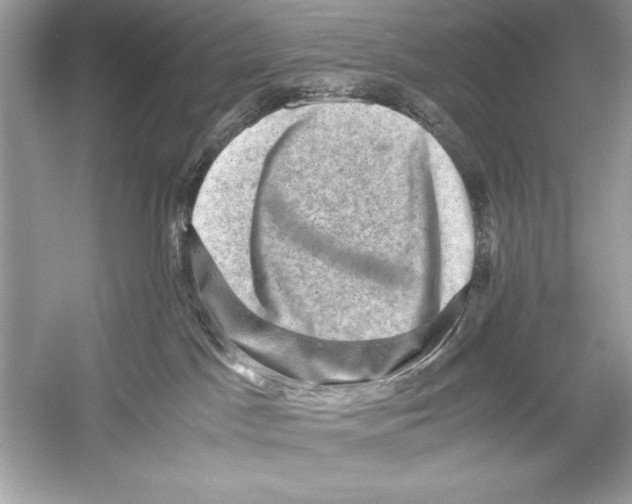 X0000051880045200507222001