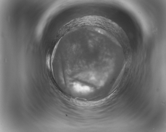 X0000051880047200507222001