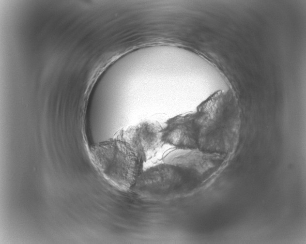 X0000051880049200507222000