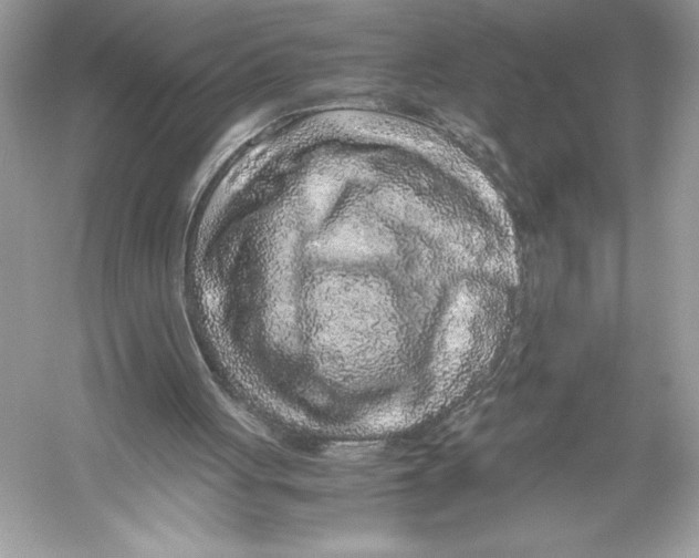 X0000051880051200507222000