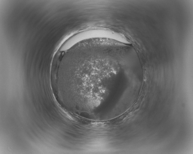 X0000051880052200507222000