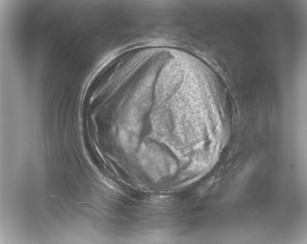 X0000051880055200507222000