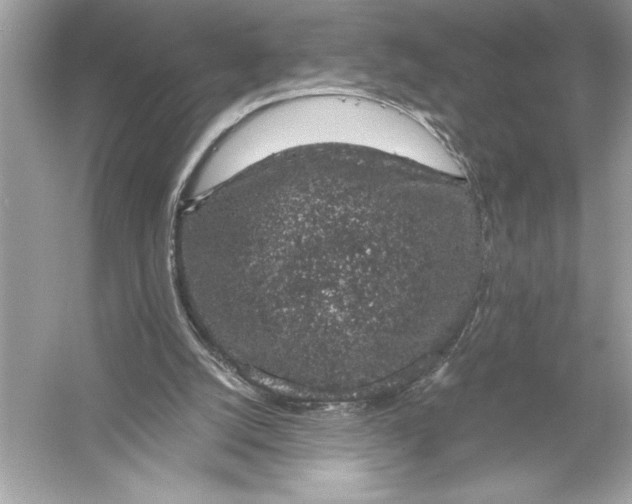 X0000051880056200507222000