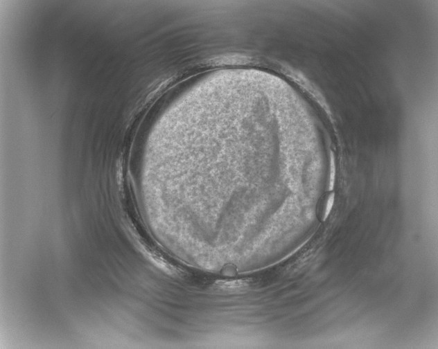 X0000051880057200507222000