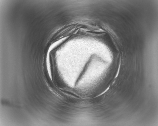 X0000051880058200507222000