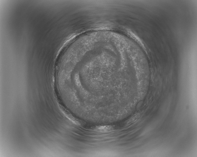 X0000051880059200507222000