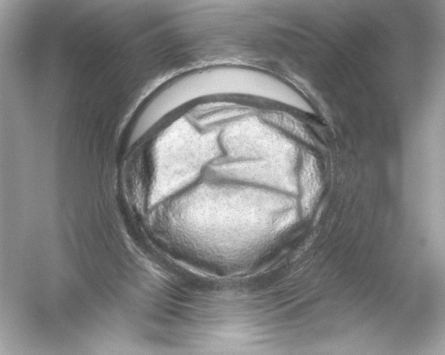 X0000051880060200507222000