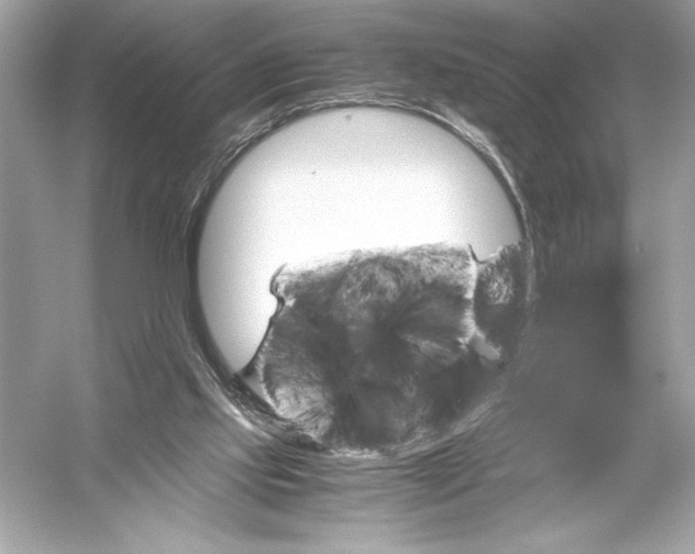 X0000051880061200507222000