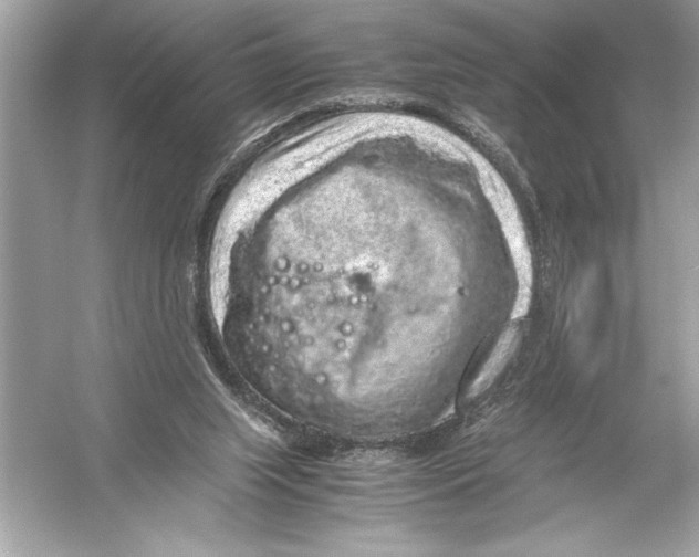 X0000051880063200507222000