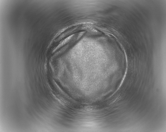 X0000051880064200507222000