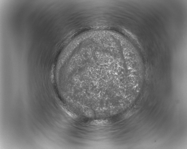 X0000051880065200507222000