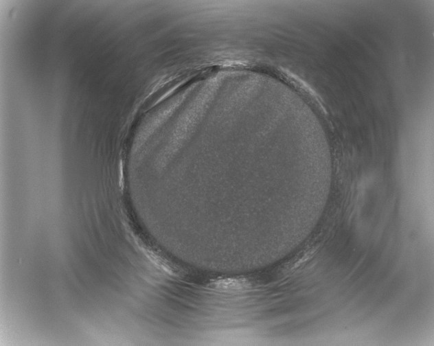 X0000051880067200507222000