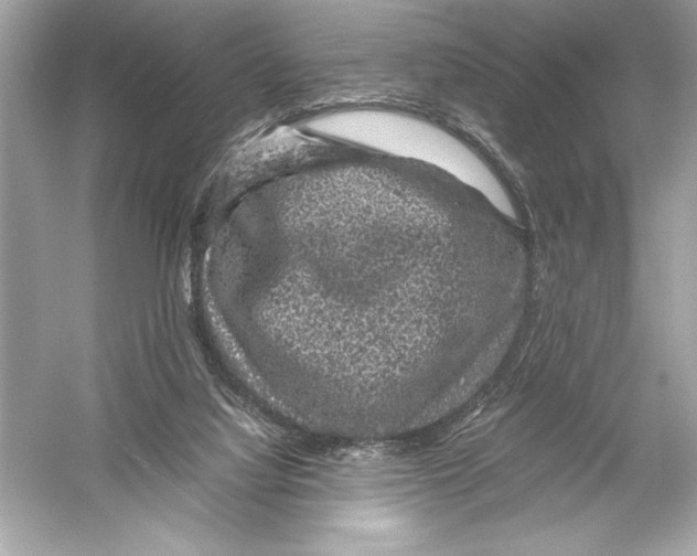 X0000051880068200507222000