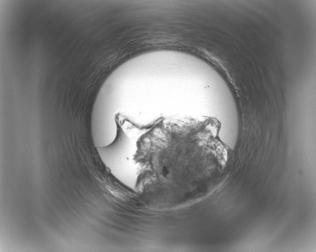 X0000051880069200507222000