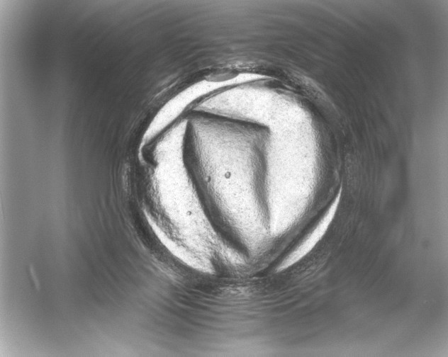 X0000051880071200507222000