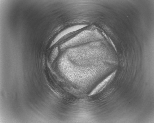 X0000051880072200507222000