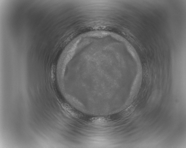 X0000051880074200507222000