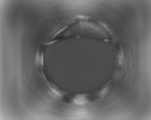 X0000051880076200507222000