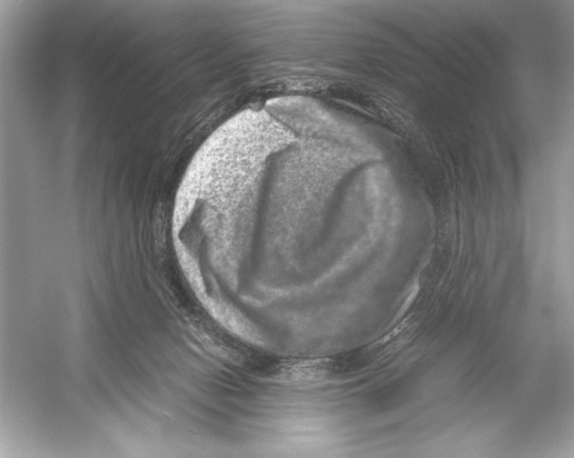 X0000051880078200507222000