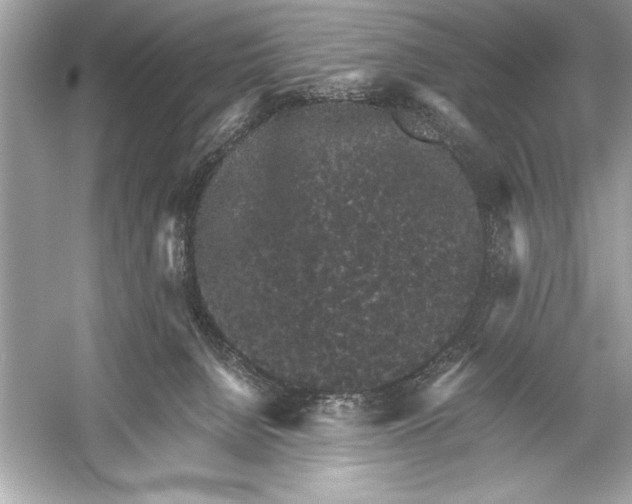 X0000051880080200507222001