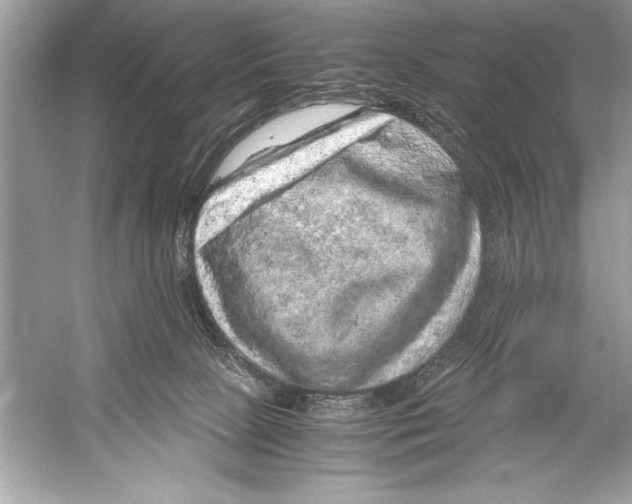 X0000051880081200507222001