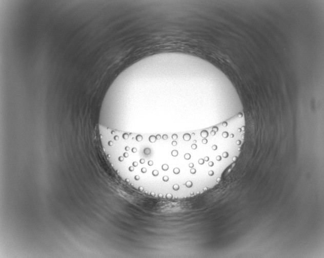 X0000051880083200507222001