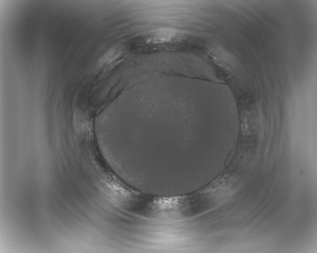 X0000051880084200507222001