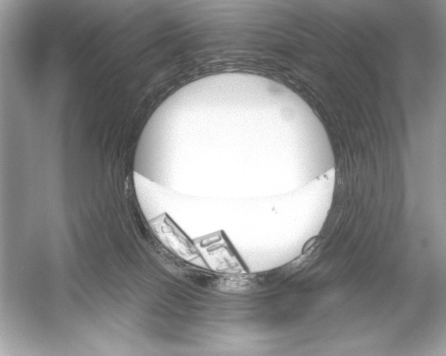 X0000051880086200507222001