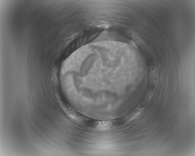 X0000051880088200507222001