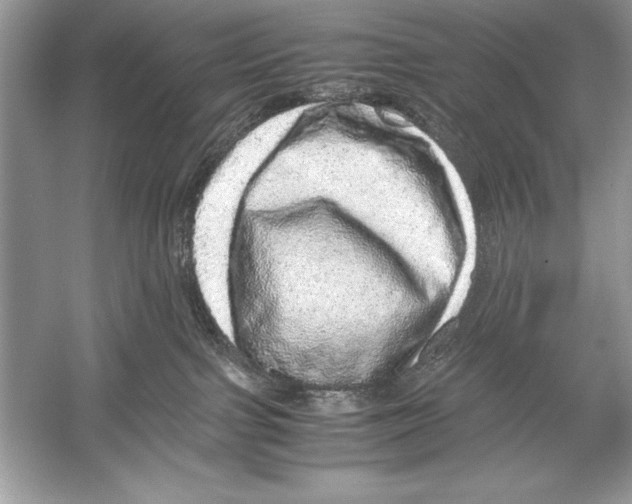 X0000051880091200507222001