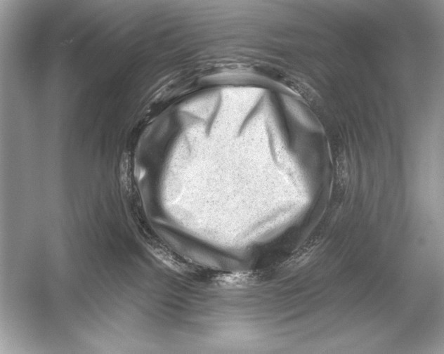 X0000051880092200507222001