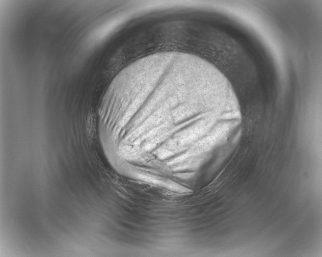 X0000051880093200507222001