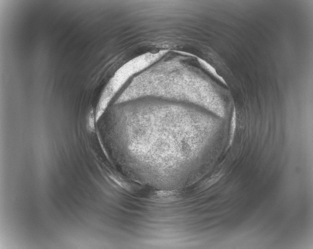 X0000051880095200507222001