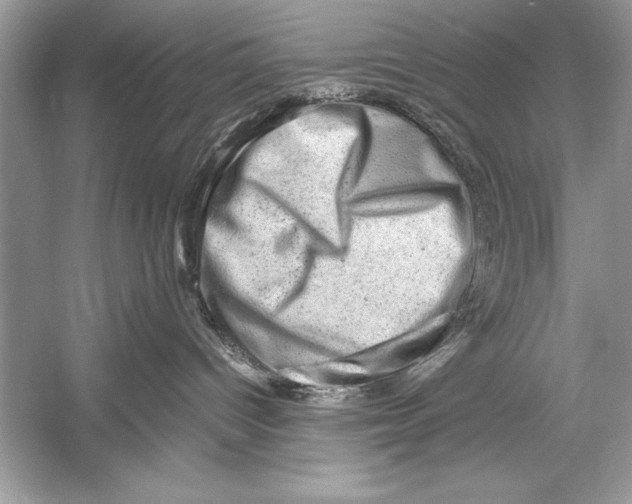 X0000051880096200507222001