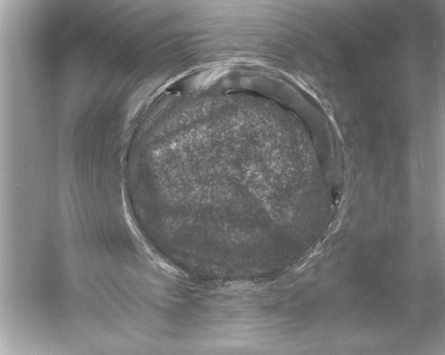 X0000051880097200507222000