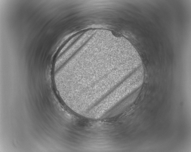 X0000051880098200507222000