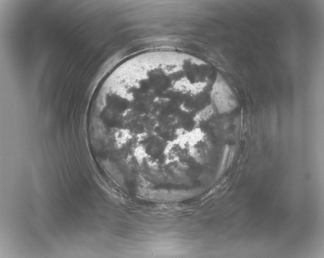 X0000051880099200507222000